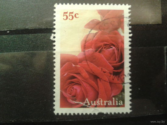 Австралия 2009 Розы К 14 3/4:14