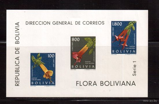 Боливия-1962, (Мих.Бл.15)  * (сл. от накл.), Флора, Цветы