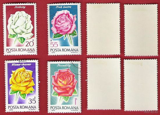 Румыния 1970 Розы