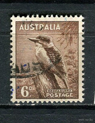 Австралия - 1956 - Птица 6Р - [Mi.264] - 1 марка. Гашеная.  (Лот 17DP)