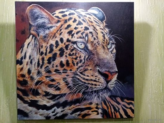 Галузо "Леопард", х.м. 60х58см.