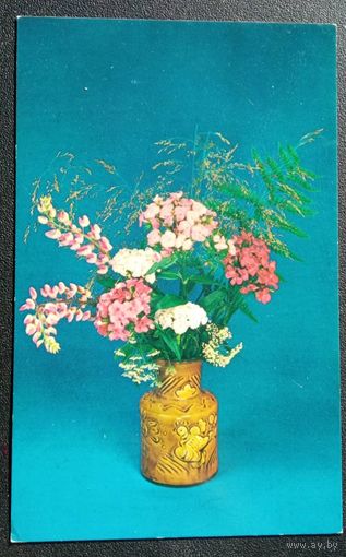 Открытка чистая, композиция из цветов, 1983