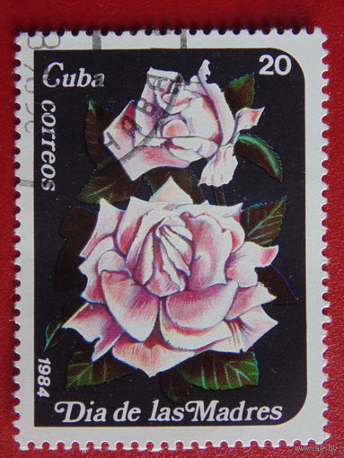 Куба 1984г. Флора.