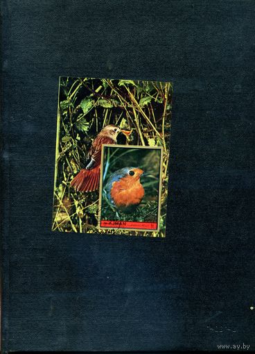 ОАЭ, АДЖМАН ,  ПОЧТОВЫЙ БЛОК  птицы  ,1972,          (на  "СКАНЕ" справочно приведены номера и цены по Michel)
