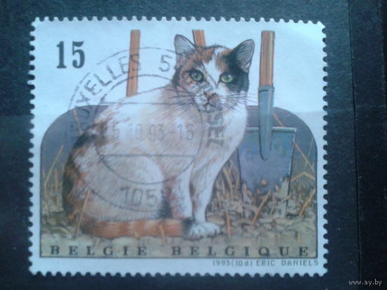 Бельгия 1993 Кошка