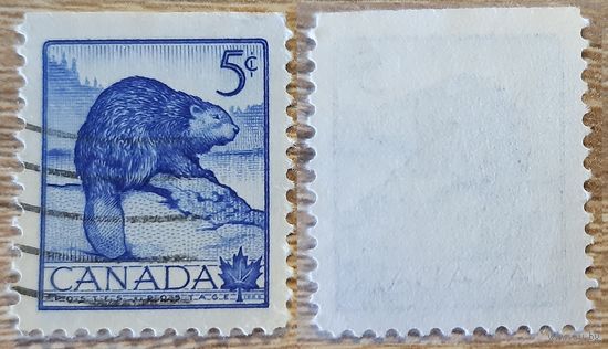 Канада 1954 Национальная неделя дикой природы. Североамериканский бобр. Без перфорации сверху.
