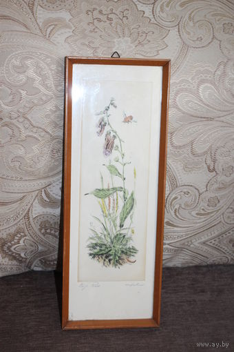 Картина карандашом на бумаге приклеенной к ДВП из серии "Ботаника", подпись, клеймо, размер с рамой 34*12.7 см.