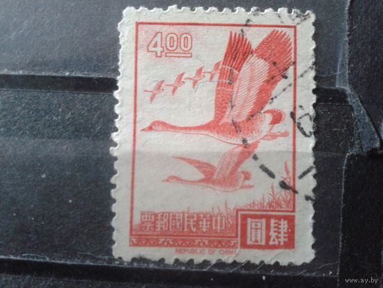 Тайвань, 1966. Дикие гуси