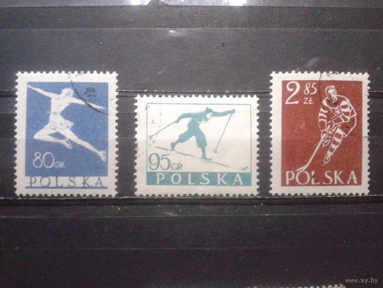 Польша, 1953, Зимний спорт, полная серия