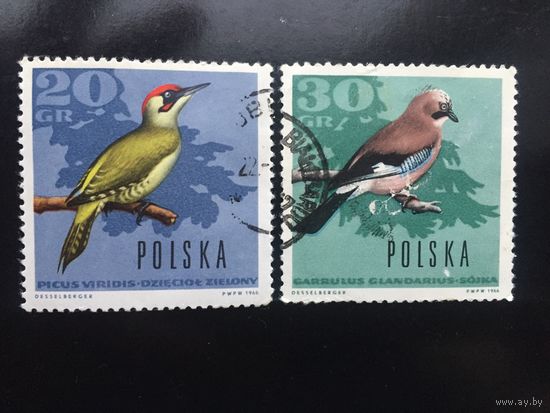 Польша 1966. Лесные птицы
