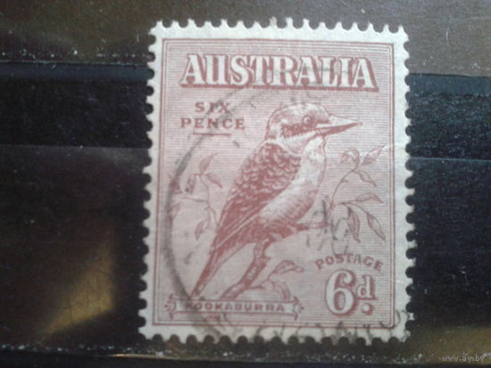 Австралия 1932 Кукабарра