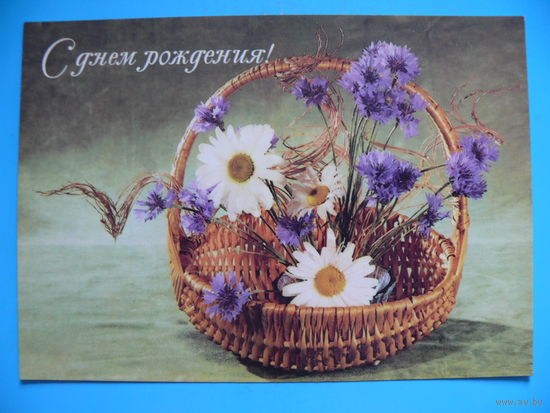 Кремнева М.(фото), С днем рождения! 1986, чистая (ромашки).