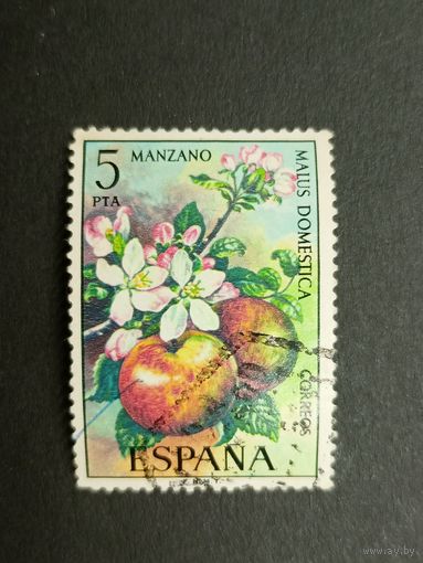 Испания 1975. Флора