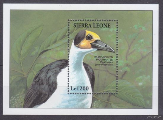 1994 Сьерра-Леоне 2179/B249 Птицы 7,50 евро