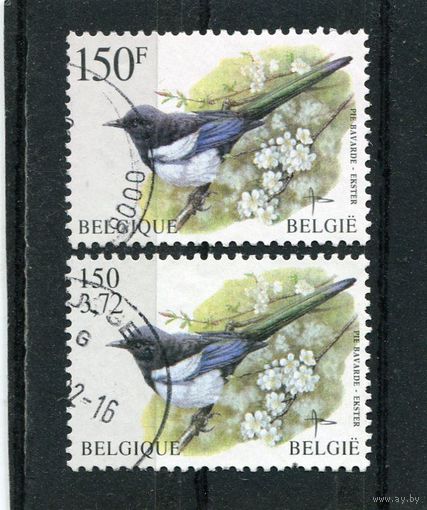 Бельгия. Сорока. Две марки. Выпуски 1997 и 2001 года