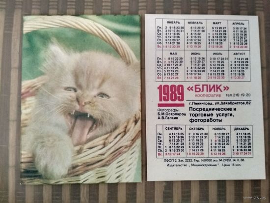 Карманный календарик. Котик. 1989 год