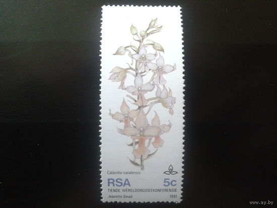 ЮАР 1981 Орхидея
