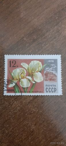 СССР 1978. Ирис к юбилею Ильича. Марка из серии