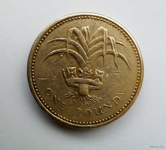 Великобритания.1 фунт 1985 г лук порей,символ Уэльса