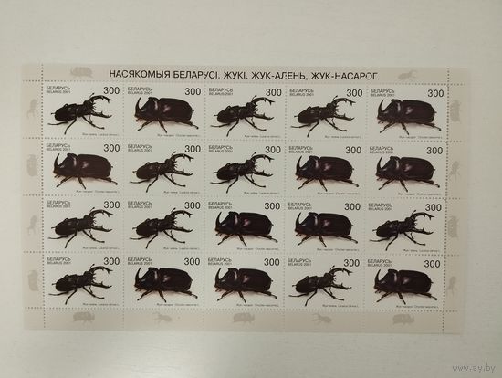 Беларусь 2001 жуки лист