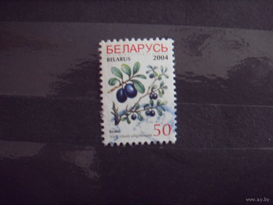 Беларусь гашеная, разновидность множественная печать УФ-защиты вся марка покрыта оттисками флора (1-2)