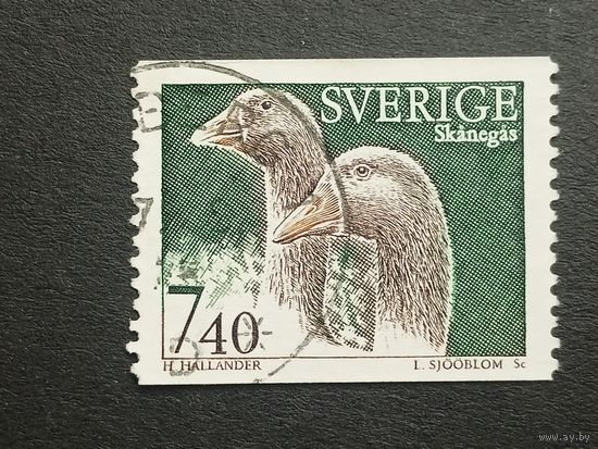 Швеция 1995. Домашние животные
