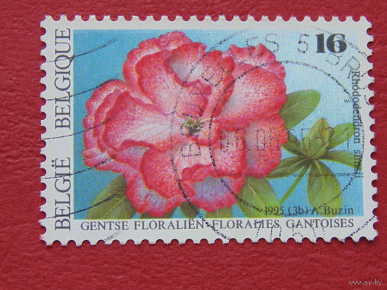 Бельгия 1995г. Цветы.