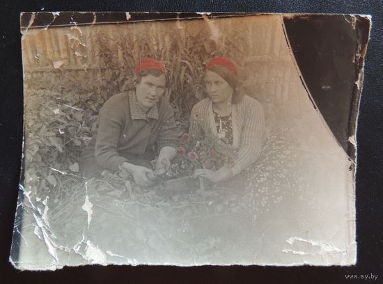 Фото "Переселенцы из Молодечно, золотые прииски в Якутии",  г. Томмот, 1937 г.