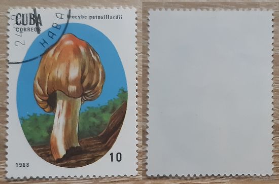 Куба 1988 Ядовитые грибы.10 с