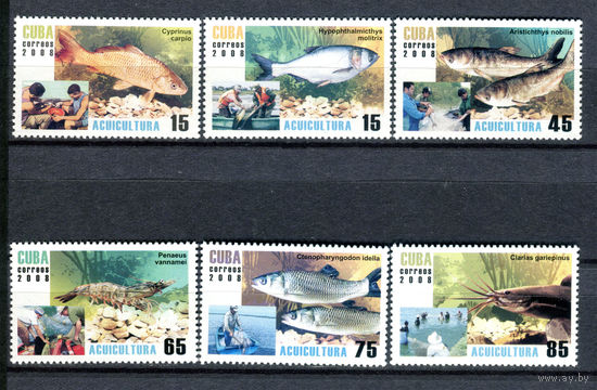Куба - 2008г. - Рыбы, аквакультура. Рыбалка - полная серия, MNH [Mi 5049-5054] - 6 марок