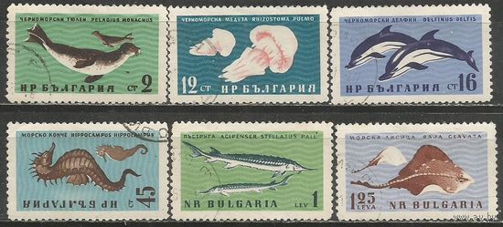 Болгария. Фауна Чёрного моря. 1961г. Mi#1243-48. Серия.