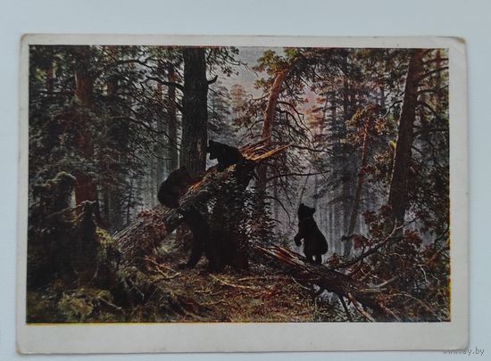 Почтовая карточка 1961 г. "И.И. Шишкин "Утро в сосновом лесу". Государственная Третьяковская галерея.