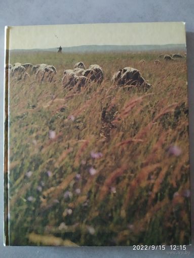 Степные напевы: фотоальбом. (Разнообразие ландшафтов бескрайних степей Казахстана).