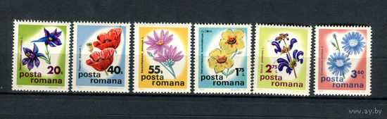 Румыния - 1975 - Цветы - (у номинала 2,75 пятно на клее) - [Mi. 3285-3290] - полная серия - 6 марок. MNH.  (Лот 195AU)
