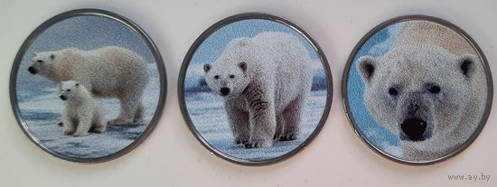 Остров Восточная Бурра (Шетландские острова) 25 пенсов 2021 г. Белые медведи