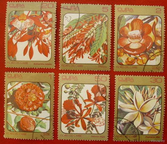 Куба. Цветы. ( 6 марок ) 1984 года.