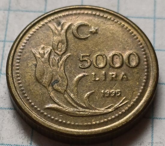 Турция 5000 лир, 1995      ( 2-9-3 )