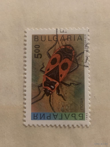 Болгария 1993. Фауна. Жуки