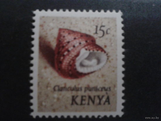 Кения 1971 стандарт, ракушка