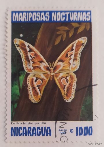 Никарагуа 1983, бабочка