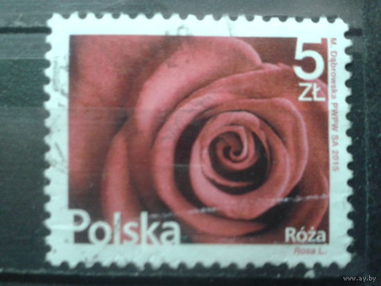 Польша 2015 Роза Михель-3,5 евро гаш
