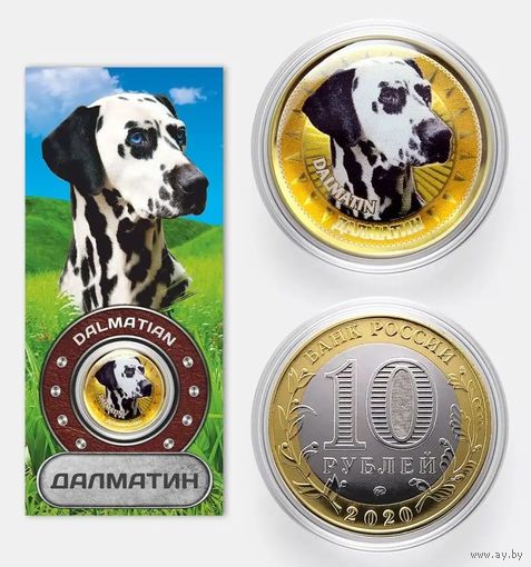 Коллекционная монета Далматин
