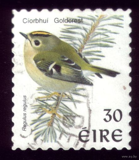 1 марка 1998 год Ирландия Птичка 1057