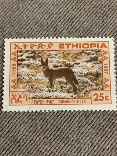 Эфиопия 1987. Simien Fox