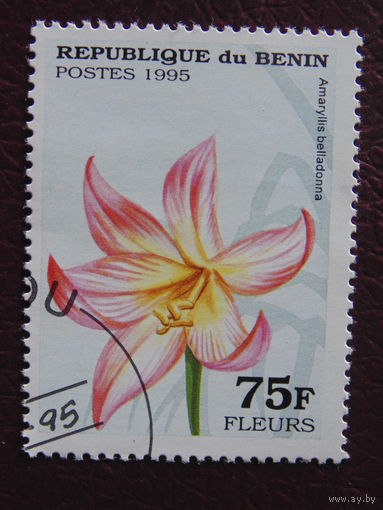 Бенин 1995 г. Цветы.