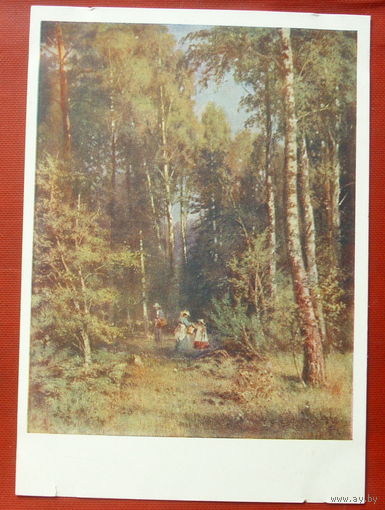 Шишкин. В лесу. Чистая. 1959 года. #163.