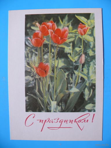 Кропивницкий И.(фото), Заикин В.(художник), С праздником! 1968, чистая.