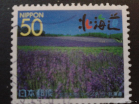 Япония 1999 поле цветов