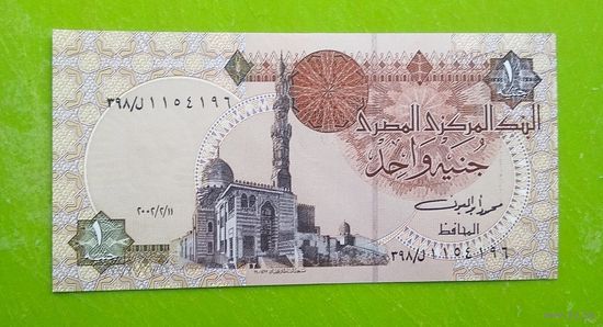 Банкнота 1  фунт Египет 2002 г.