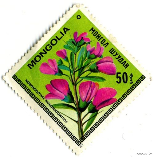 Марка МНР 1979 г. (по каталогу Mi:MN #1210), негаш. Цветы.  Halimodendron Halodendron